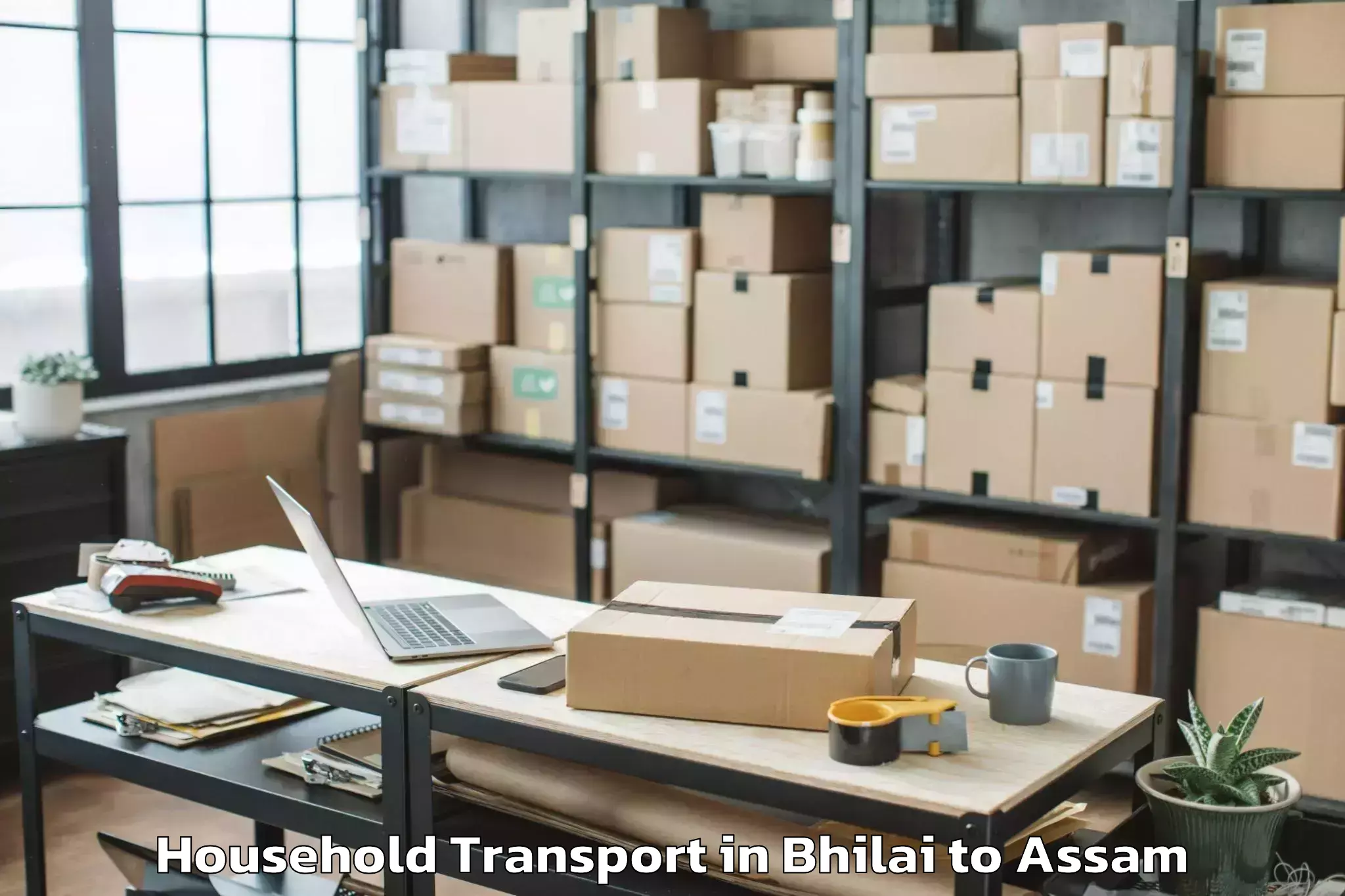 Top Bhilai to Naharkatiya Household Transport Available